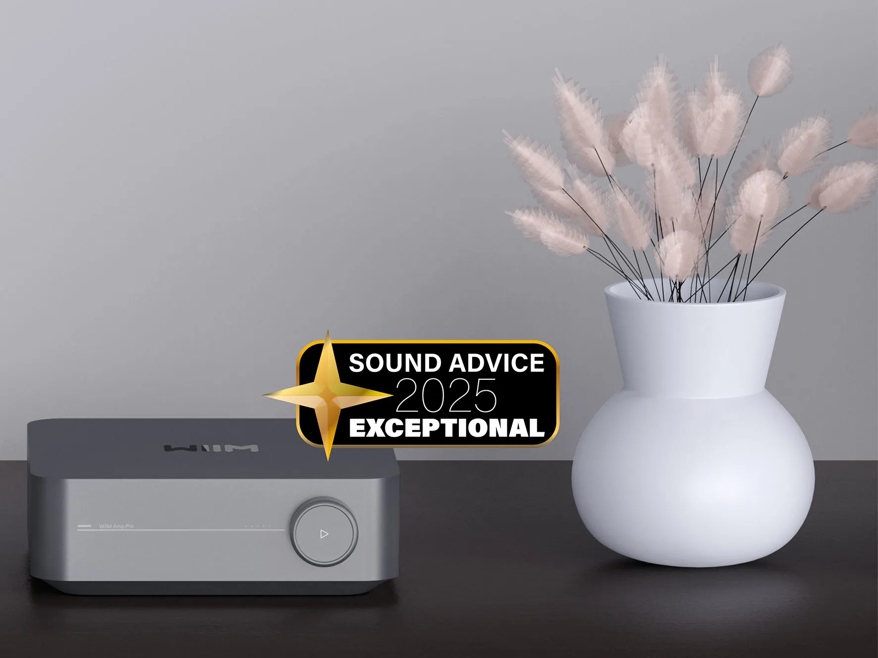 WiiM Amp Pro - Sound Advice